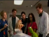 The muppets on [scrubs]
