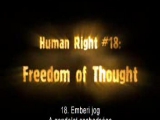 Emberi jogok #18: A gondolat szabadsága.