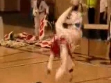 Taekwondo KO