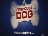 Firehouse dog