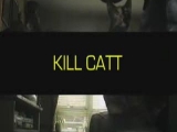KILL CAT'S :-)) FIGHTER MACSEKOK :-))