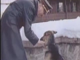 Hitler és a kutyája