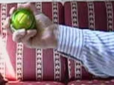 Wrist-ball (powerball klón)
