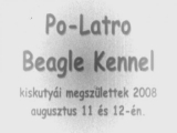 Po-Latro Beagle Kennel kiskutyái