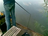 Horgászat
