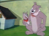Tom and Jerry - That's My Pup