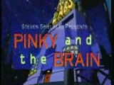 Pinky and Brain