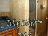 Tokaj Hotel***Tokaj - www.travelsinhungary.com