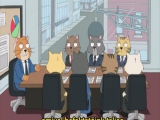 CAT-STAFF-MEETING/Macska tárgyalás