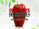 Desperate Housewives Season 6 Promo