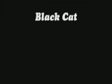 Black Cat 8.rész