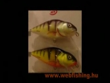 Salmo Perch wobbler bemutató horgász videó