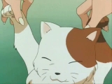 Inuyasha macskázik (japán szinkronnal)