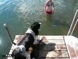 NapiFAIL - Kutya aki nem szereti a vizet