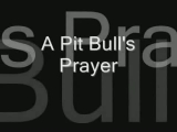 Egy pit bull imája