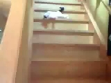 Lépcsőpucolás