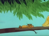 Tom és Jerry - Vakáció