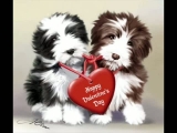 Happy Valentines Day !!!