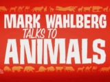 Mark Wahlberg Talks To Animals