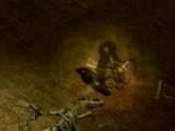 Witch in Diablo II Median XL