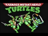 1991 Teenage Mutant Hero Turtles - The Coin-Op!