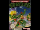 1989 Teenage Mutant Ninja Turtles Nes