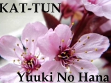 KAT-TUN - Yuuki No Hana [Eng+HunSub]