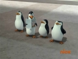 Madagaszkár pingvinjei S2E03 Aligátor figyelők