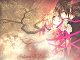 Sasuke & Sakura: A múltunk ára! 15.rész