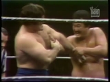 Bruno Sammartino vs Mr. Fuji (WWWF 1974.01.23)