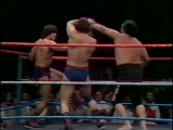 Rick Martel & Tony Garea vs Mr. Fuji & Mr...