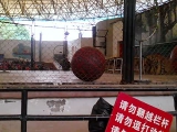 Wuhan zoo