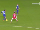 Arsenal–Everton 1:1 (2013-12-08)