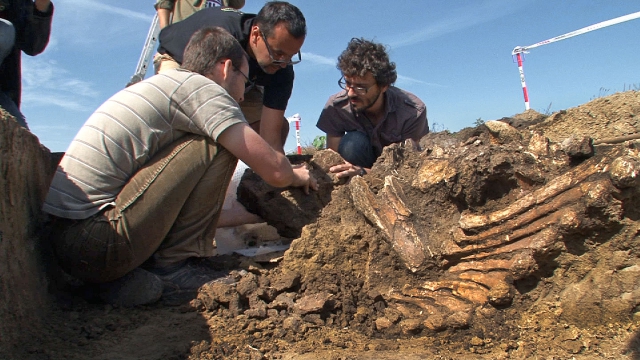 Rézkori erőd mellől került elő az új magyar mamut (INDEX videó)
