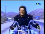 David Hasslehoff- Crazy For You