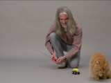 CATTERBOX™ - The world’s first talking cat...