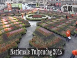 Ilyen volt Amszterdamban a Nemzeti Tulipánnap...