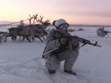 Rénszarvasokkal gyakorlatozott az orosz hadsereg