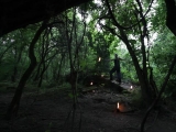 Zsonglőrök: Tűzzsonglőr a gyönyörű erdőben