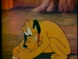 Donald és Pluto-Donald kutya mosodája (Donalds...