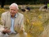 Attenborough és a mamut temető - 2021