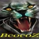 bcocoz