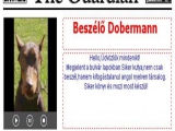 Beszélő Dobermann Kutyám