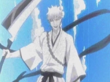 Ichigo the vaizard