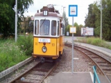 Szeged 2006 (1)
