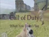 Call of Duty What You Didn't See 2