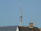 Mecsek