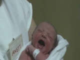 2008 első kaposvári babája