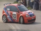 2006-os Hella Rally Slovenia/ Kakuszi megforgás