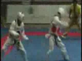 Taekwondo Best Knockouts